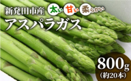 先行予約 アスパラガス 800g 令和7年産 アスパラ 甘い 太い 柔らかい 特産品 野菜 春野菜 夏野菜 JA北新潟 新潟県 新発田産 新発田市