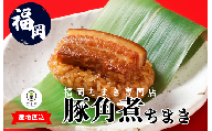 M664-1〈竹千寿〉豚角煮ちまき9個入り | 中華ちまき おこわ 笹おこわ 個包装 冷凍おにぎり おにぎり お取り寄せ 贈り物 内祝 お返し お祝い おこわギフト グルメ 冷凍 ちまきギフト おこわセット 福岡 宮若