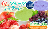 【12回定期便】果樹園が作る 素材の味を楽しめる 旬のジェラート 120ml×6個セット【ソルベッチdoうきは】着色料不使用 ノンホモ牛乳使用 ジェラート アイス 旬 スイーツ 詰め合わせ セット シャーベット ミルク フルーツ デザート 定期便