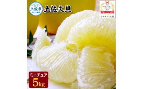 【日本ギフト大賞2024受賞】園主こだわりミニチュア土佐文旦ぶんたん 5kg 15～20玉〈2027年1月中旬から4月下旬発送〉 超小玉土佐文旦 ブンタン フルーツ 柑橘 みかん 果物 柑橘類 デザート プレゼント 高知県 土佐市【やの一果彩】[BQAC026] 1983122 - 高知県土佐市