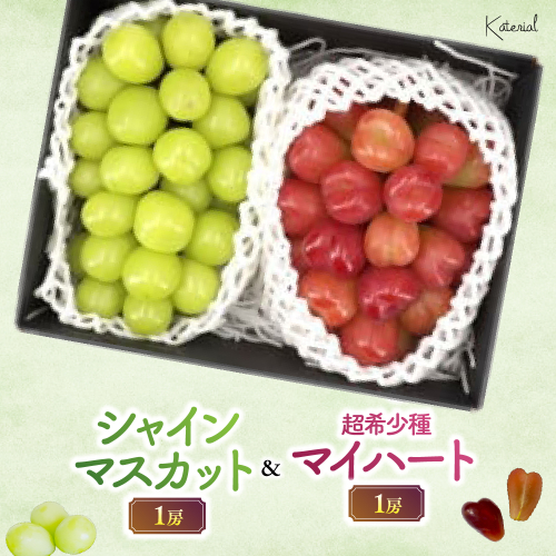 【2026年発送】山梨県産　シャインマスカット（1房）&マイハート（1房）約1.2kg［ぶどう　葡萄　シャイン　シャインマスカット　マイハート　くだもの　果物　フルーツ　人気　2種　詰め合わせ　ギフト　贈答　新鮮　山梨県　山梨　甲斐市］ 1983130 - 山梨県甲斐市