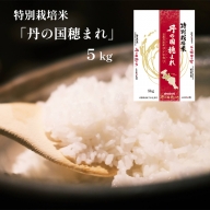 特別栽培米 コシヒカリ 丹の国穂まれ 精米 5kg【送料無料】
