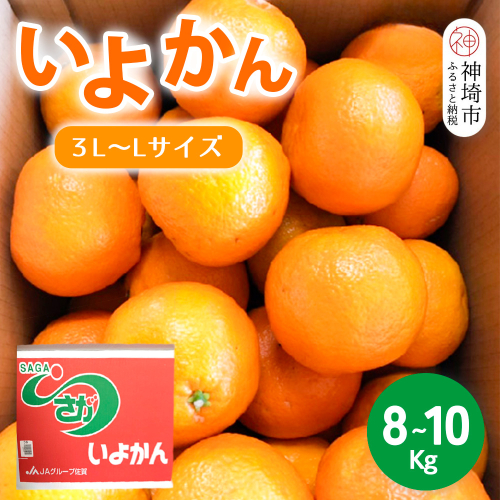 【2026年1月上旬より発送開始】いよかん 8～10kg(3L～Lサイズ)【みかん 柑橘 フルーツ デザート】(H116141) 1983334 - 佐賀県神埼市