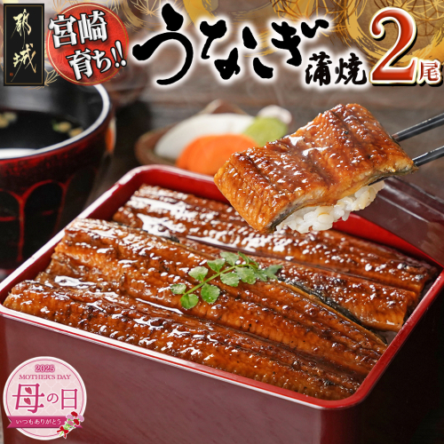 【母の日】宮崎県育ちのうなぎ蒲焼2尾300g以上≪山椒・たれ付≫≪5月8日～11日お届け≫_13-M301-MG 1983396 - 宮崎県都城市