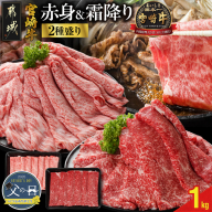 【令和7年4月1日より寄附金額見直し（値上げ）予定】【父の日】宮崎牛スライス2種セット500g×2パック≪6月12日～15日お届け≫_16-N201-FG