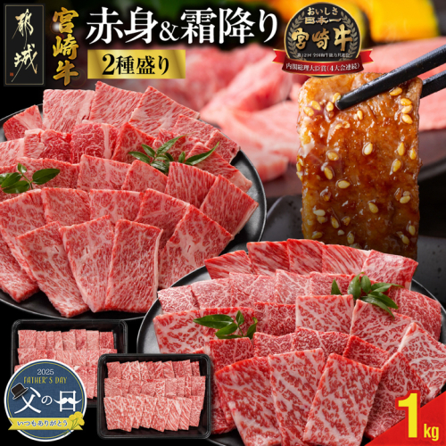 【父の日】宮崎牛焼肉2種セット500g×2パック≪6月12日～15日お届け≫_16-N202-FG 1983424 - 宮崎県都城市