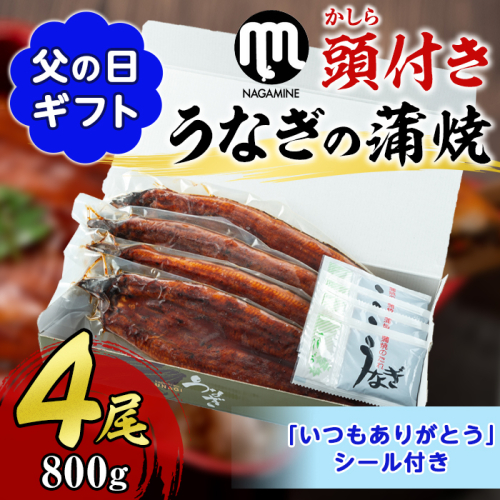 【30605-F】＜父の日ギフト＞大隅産うなぎの蒲焼＜計約800g(約200g×4尾＞ うなぎ 高級 ウナギ 鰻 国産 蒲焼 蒲焼き たれ 鹿児島 【永峯うなぎ店】 1983432 - 鹿児島県東串良町