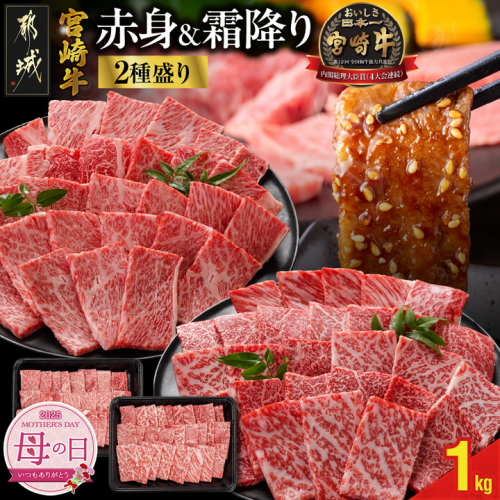 【母の日】宮崎牛焼肉2種セット500g×2パック≪5月8日～11日お届け≫_16-N202-MG 1983476 - 宮崎県都城市