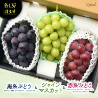[2026年発送]おまかせ!山梨県産ぶどう 3色 食べ比べ セット 約1.8kg [ぶどう 葡萄 シャイン シャインマスカット クイーンニーナ マイハート スカーレット 巨峰 ブラックビート くだもの 果物 フルーツ 人気 3種 詰め合わせ ギフト 贈答 新鮮 山梨県 山梨 甲斐市]