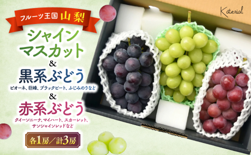 【2025年発送】おまかせ！ぶどう　3色　食べ比べ　セット　約1.8kg　［ぶどう　葡萄　シャイン　シャインマスカット　クイーンニーナ　マイハート　スカーレット　巨峰　ブラックビート　くだもの　果物　フルーツ　人気　3種　詰め合わせ　ギフト　贈答　新鮮　山梨県　山梨　甲斐市］ 1983519 - 山梨県甲斐市