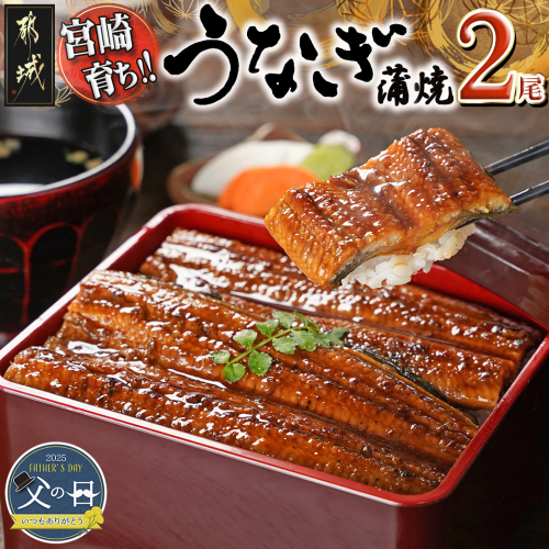 【父の日】宮崎県育ちのうなぎ蒲焼2尾300g以上≪山椒・たれ付≫≪6月12日～15日お届け≫_13-M301-FG 1983689 - 宮崎県都城市