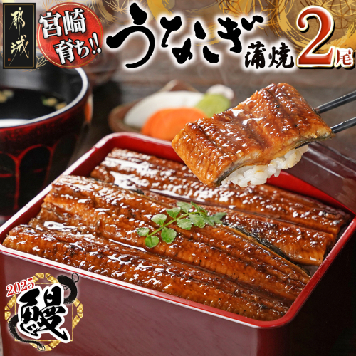 【丑の日】宮崎県育ちのうなぎ蒲焼2尾300g以上≪山椒・たれ付≫≪7月10日～18日お届け≫_13-M301-UG 1983745 - 宮崎県都城市