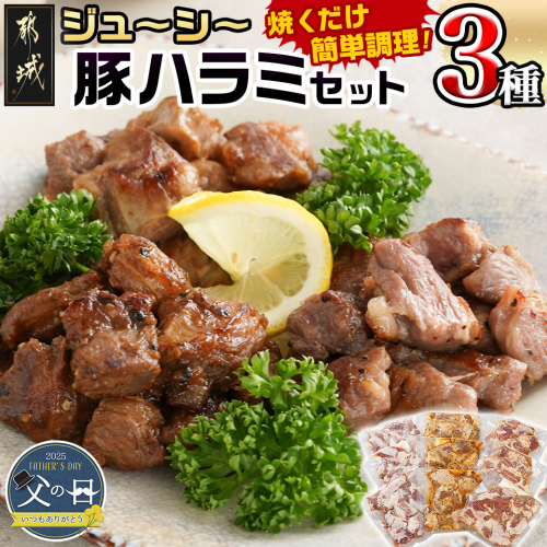 【父の日】ジューシー豚ハラミ3種セット≪塩胡椒・味噌・にんにく醤油≫≪6月12日～15日お届け≫_11-9202-FG 1983758 - 宮崎県都城市