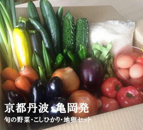 京都丹波・亀岡発 旬の野菜・こしひかり・地卵 詰め合わせセット◇ ※北海道・沖縄・離島への配送不可 1983859 - 京都府亀岡市