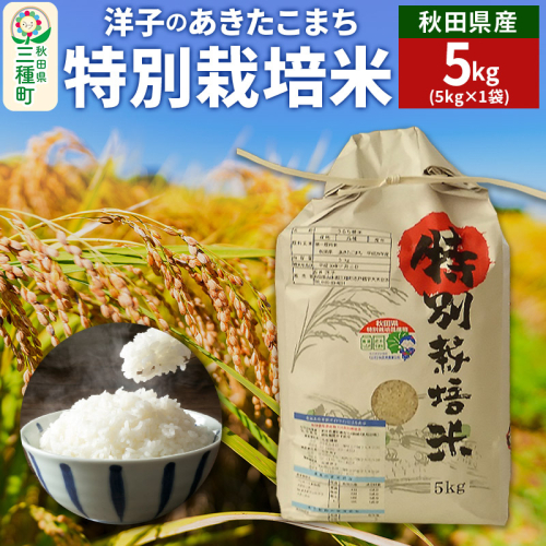 洋子のあきたこまち 特別栽培米 5kg(5kg×1袋) 秋田県産 【白米】 令和6年産 1983866 - 秋田県三種町