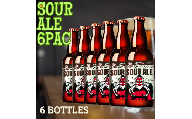 クラフトビール SOUR ALE 6本セット | 母の日 ビール お酒 クラフトビール 地ビール テングビール 瓶ビール オリジナルビール 微アルコール 女性好み フルーティー すっきり 酸味 プレゼント ギフト 詰め合わせ 家飲み 宅飲み 晩酌 前橋市 群馬県