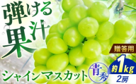 [先行予約][9月中旬から9月末に順次発送] ぶどう シャインマスカット 1kg(2房 青秀) 露地栽培 シャインマスカット マスカット 果物 フルーツ くだもの ぶどう 葡萄 三次市/西田ぶどう園 [APCM002]