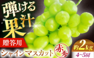 [先行予約][9月中旬から9月末に順次発送] ぶどう シャインマスカット 2kg(4房から5房 赤秀) 露地栽培 シャインマスカット マスカット 果物 フルーツ くだもの 葡萄 三次市/西田ぶどう園 [APCM003]