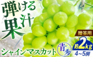 [先行予約][9月中旬から9月末に順次発送] ぶどう シャインマスカット 2kg(4房から5房 青秀) 露地栽培 シャインマスカット マスカット 果物 フルーツ ぶどう 葡萄 三次市/西田ぶどう園 [APCM004]