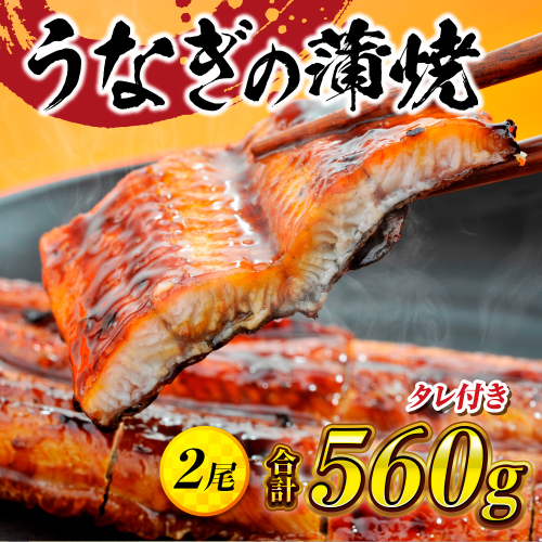 うなぎの蒲焼２尾 タレ付き（1本）　YZ001 198398 - 福岡県篠栗町