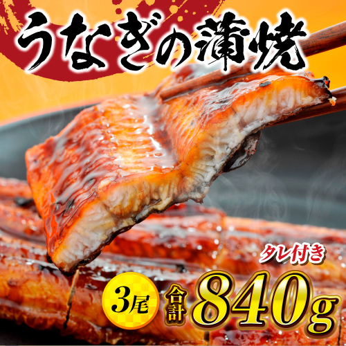 うなぎの蒲焼３尾 タレ付き（2本）　YZ002 198399 - 福岡県篠栗町