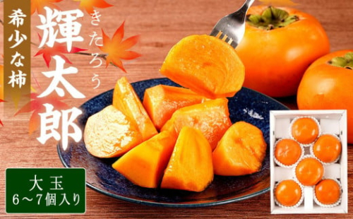 希少な柿［輝太郎］大玉6個～7個 コクのある甘さ！こだわり農家厳選［2026年9月末から10月末頃順次発送］［KG24］ 1984179 - 和歌山県上富田町