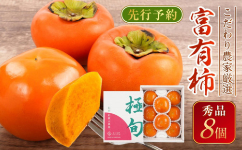先行予約 富有柿 秀品8個入り こだわり農家厳選【2025年10月末頃から11月下旬頃順次発送】【KG25】 1984180 - 和歌山県上富田町