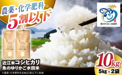 【令和7年産新米】近江米 コシヒカリ 10kg （5kg×2） 魚のゆりかご水田米 滋賀県長浜市/阿辻農園 [AQAW012] こしひかり 近江米 滋賀 魚のゆりかご 水田 米 お米 白米 10kg 魚のゆりかご水田 長浜市産 こめ 白米 精米 お米 新米 食品 ふるさと納税 国産 炊きたて 米ギフト もちもち ブランド米  食卓 美味しい 産地直送 節約 人気