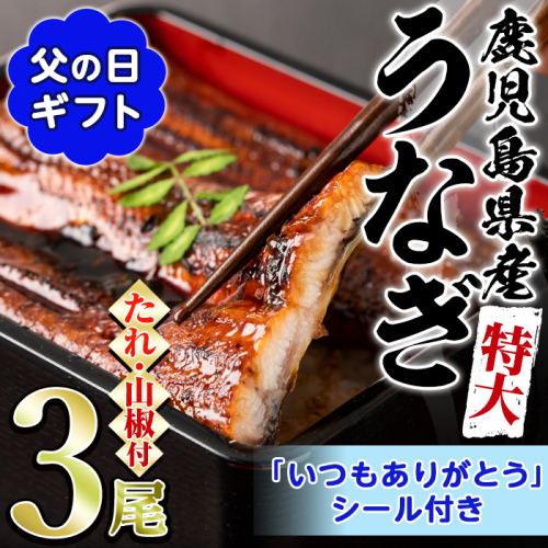 【0234303a-F】＜父の日ギフト＞東串良町のうなぎ蒲焼(無頭)(3尾・計約630g・タレ、山椒付) うなぎ 高級 ウナギ 鰻 国産 蒲焼 蒲焼き たれ 鹿児島 ふるさと 人気 父の日 ギフト 贈り物 プレゼント 【アクアおおすみ】 1984599 - 鹿児島県東串良町