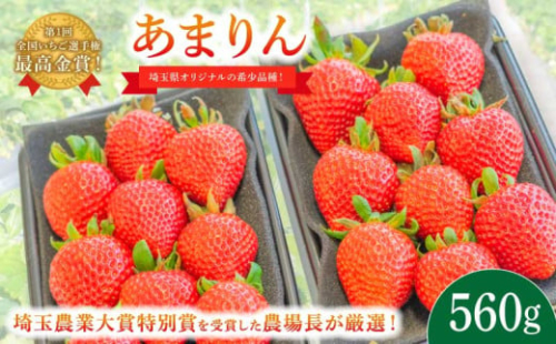 【事前受付】いちご あまりん 560g (280g×2P) 苺 イチゴ ストロベリー 産地直送 ご当地 果物 くだもの フルーツ デザート 食品 冷蔵 げんき農場 埼玉県 羽生市