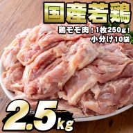 【0124804a】国産若鶏のモモ肉(計2.5kg・鶏モモ肉1枚×10P)鶏肉 鳥肉 もも肉 むね肉 おかず 小分け 国産【エビス】