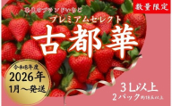 [数量限定]2026年予約販売開始 奈良ブランドいちご [2026年(令和8年)1月〜発送]予約受付中 早期終了予定あり いちご イチゴ 先行予約 いちご 苺 奈良ブランド苺 イチゴ ブランド 古都華 めいとく農園 奈良県 奈良市 奈良 なら 25-020