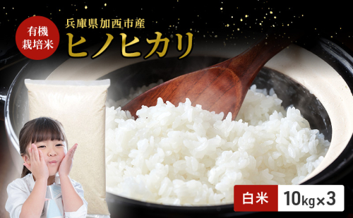 【令和7年度産 最速予約受付!】ヒノヒカリ 白米 30kg エコ 環境にやさしい おいしい お米 事業者支援 白米 精米 国産 ごはん ご飯 白飯 小分け 1984779 - 兵庫県加西市