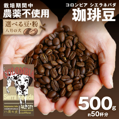 【栽培期間中農薬不使用】自家焙煎コーヒー豆 コロンビア シエラネバダ 500g（250g×2） 約50杯分 小分け　豆・粉 選べる
 1985042 - 京都府京丹後市