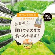 植物工場産野菜・お徳用セット