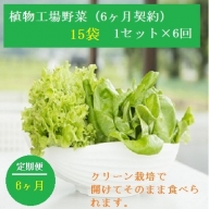 植物工場産野菜・お徳用６セット（６ヶ月契約）１セット×6回