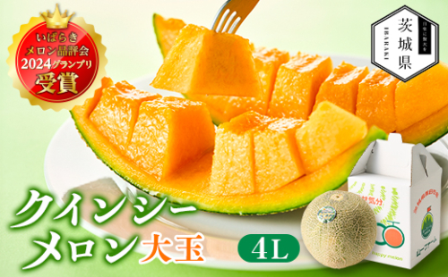 ＜先行受付＞令和9年5月順次発送 茨城県鉾田市 山一ファーム クインシーメロン 大玉4L～5L・1玉【1590730】