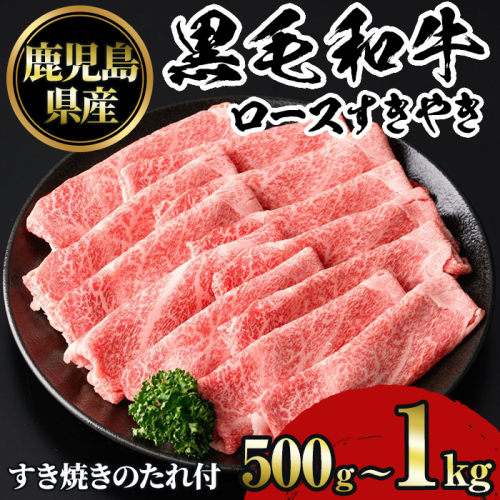 No.1040/1231 鹿児島黒毛和牛ロースすきやき(500g～1kg) 鹿児島県産 牛肉 黒毛和牛 和牛 ロース 肩ロース すきやき 冷凍【NBフード】 1986074 - 鹿児島県日置市