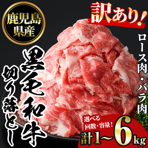 No.1039/1232/1233 ＜選べる容量と配送回数＞訳あり！鹿児島黒毛和牛ロース・バラ切り落とし(計1～6kg) 鹿児島県産 牛肉 黒毛和牛 和牛 ロース 肩ロース バラ バラ肉 冷凍 定期便 切り落し 切落し 頒布会 肉じゃが カレー 牛丼 おかず お弁当 小分け 詰め合わせ【NBフード】 1986076 - 鹿児島県日置市