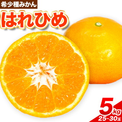 【先行予約】みかん はれひめ 約 5kg 25玉 ～ 30玉 紀農人株式会社《2025年12月中旬-2月上旬頃出荷》 和歌山県 日高町 果物 フルーツ 柑橘 蜜柑 柑橘類 旬 1986153 - 和歌山県日高町