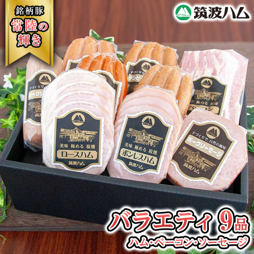 筑波ハム バラエティ 9品 ( ハム ベーコン ソーセージ ) 『常陸の輝き』 茨城県産 ブランド豚 銘柄豚 ( 茨城県共通返礼品 ) ロースハム ボンレスハム フランク ウィンナー チョリソー 豚 ポーク ステーキ 肉 お肉 [EN009sa] 1986279 - 茨城県桜川市