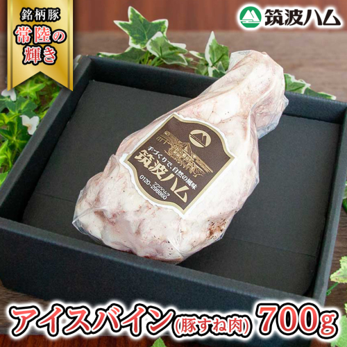 筑波ハム アイスバイン 700g 豚すね肉 『常陸の輝き』 茨城県産 ブランド豚 銘柄豚 ( 茨城県共通返礼品 ) 豚 肉 お肉 ドイツ料理 温めるだけ 湯せん [EN013sa] 1986569 - 茨城県桜川市