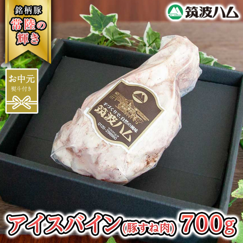 【お中元熨斗付き】 筑波ハム アイスバイン 700g 豚すね肉 『常陸の輝き』 茨城県産 ブランド豚 銘柄豚 ( 茨城県共通返礼品 ) 豚 肉 お肉 ドイツ料理 温めるだけ 湯せん [EN015sa] 1986571 - 茨城県桜川市