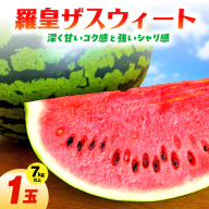 【2026年発送】深く甘いコク感と強いシャリ感「羅皇ザスウィート」1玉 すいか 甘い すいか1玉 果物 フルーツ　H141-015