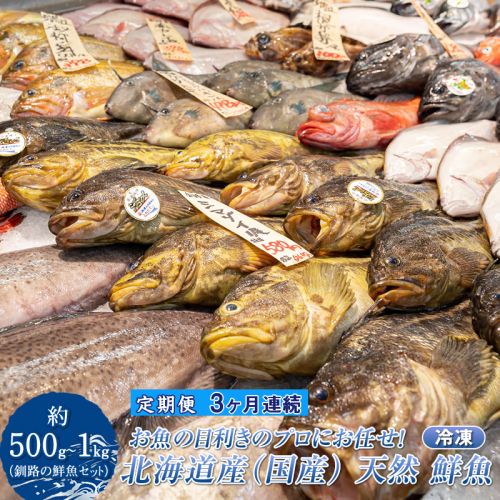 【定期便 3ケ月連続】 お魚の目利きのプロにお任せ！北海道産（国産） 天然 鮮魚 約500g～1kg（釧路の鮮魚セット） 鮮魚 刺身 セット 産地直送 定期便 海鮮 冷凍 冷凍便 北海道 釧路町 釧路超 特産品 1987003 - 北海道釧路町