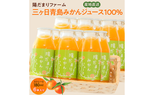 陽だまりファーム 三ヶ日青島みかんジュース ストレート100％ 180ml 6本 青島みかん 静岡 浜松市 1987270 - 静岡県浜松市