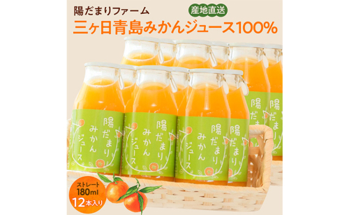 陽だまりファーム 三ヶ日青島みかんジュース ストレート100％ 180ml 12本 青島みかん 静岡 浜松市 1987271 - 静岡県浜松市