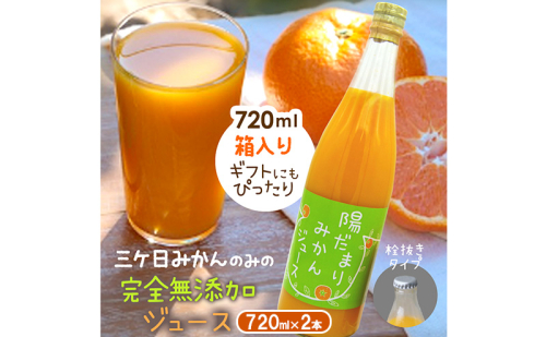 陽だまりファーム 三ヶ日青島みかんジュース ストレート100％ 720ml 2本 青島みかん 静岡 浜松市 1987274 - 静岡県浜松市