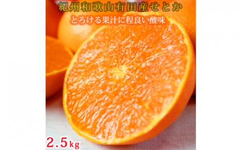 G7058_【先行予約】とろける食感！ジューシー柑橘 せとか 2.5kg 198737 - 和歌山県湯浅町