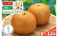＜のし付き＞お中元　梨　化粧箱(8～12個) (BR152)